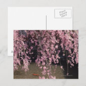 Carte Postale Gion, préfecture de Kyoto, Japon (Devant / Derrière)