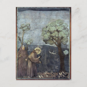Carte Postale Giotto : Saint François prêchant aux oiseaux