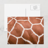 Carte Postale Girafe (Devant / Derrière)