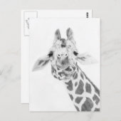 Carte Postale Girafe (Devant / Derrière)