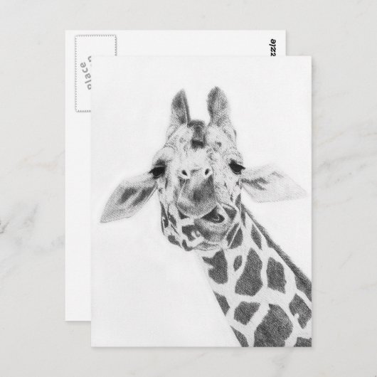 Carte Postale Girafe (Devant / Derrière)