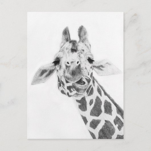 Carte Postale Girafe (Devant)