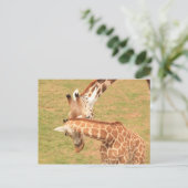 Carte Postale Girafe bébé et mère #3 (Debout devant)