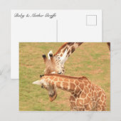Carte Postale Girafe bébé et mère #3 (Devant / Derrière)