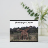 Carte Postale girafe croix amour (Debout devant)