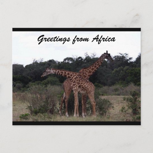 Carte Postale girafe croix amour (Devant)