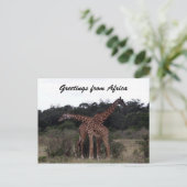 Carte Postale girafe croix salutations (Debout devant)