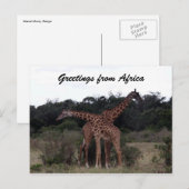 Carte Postale girafe croix salutations (Devant / Derrière)