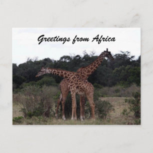 Carte Postale girafe croix salutations