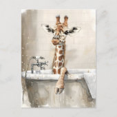 Carte Postale Girafe dans un bain. (Devant)