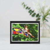 Carte Postale Girafe d'arc-en-ciel (Debout devant)