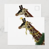 Carte Postale Girafe de Christmas (Devant / Derrière)
