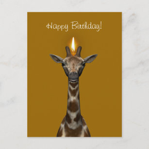 Cartes De Vœux Humour Girafe Zazzle Be