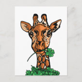 Carte Postale Girafe de la Saint-Patrick (Devant)