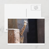 Carte Postale girafe de Peek-a-boo (Devant / Derrière)