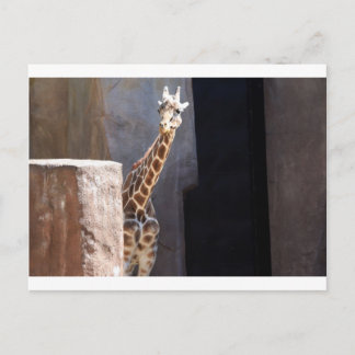 Carte Postale girafe de Peek-a-boo