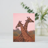 Carte Postale Girafe debout dans les mopani avec ciel rose (Debout devant)