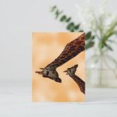 Carte Postale Girafe Double Trouble, (Debout devant)