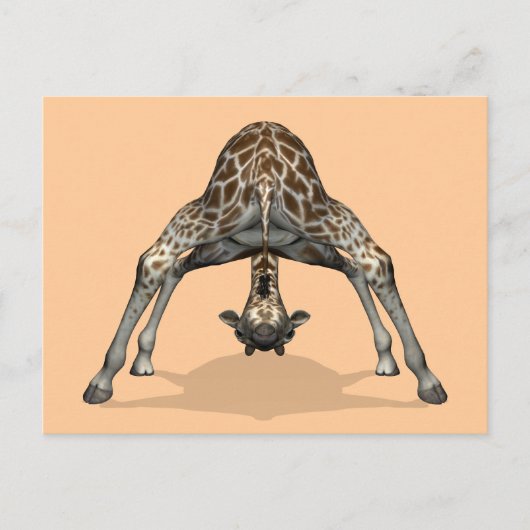 Carte Postale Girafe flexible (Devant)