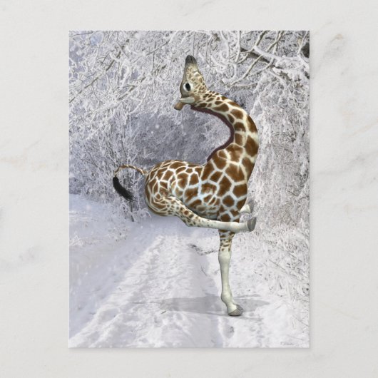Carte Postale Girafe Folle Jouant Dans La Neige (Devant)