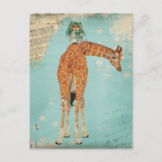 Carte Postale GIRAFE & OWL Postcard