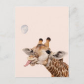Carte Postale Girafe Silly (Devant)