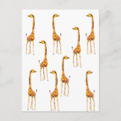Carte Postale Girafes (Devant)
