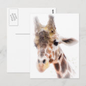 Carte postale Giraffe (Devant / Derrière)