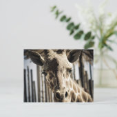 Carte Postale Giraffe (Debout devant)