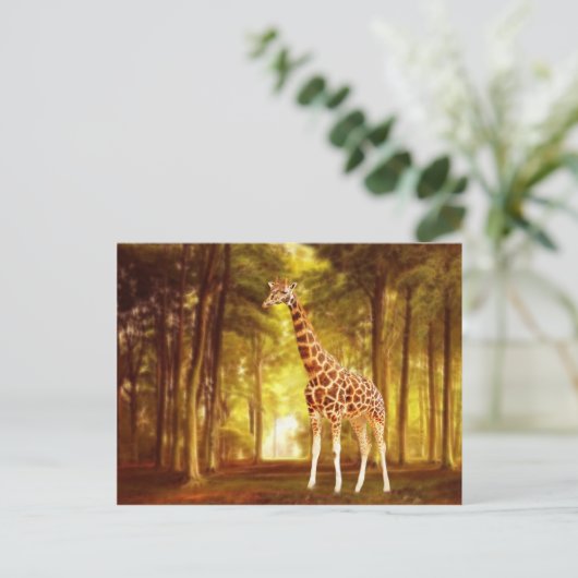 Carte Postale Giraffe (Debout devant)