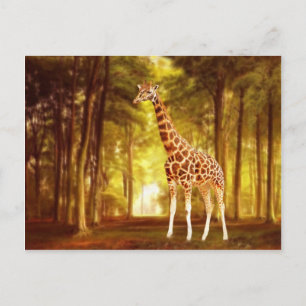 Carte Postale Giraffe