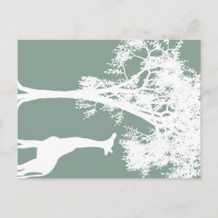 Carte Postale Giraffe