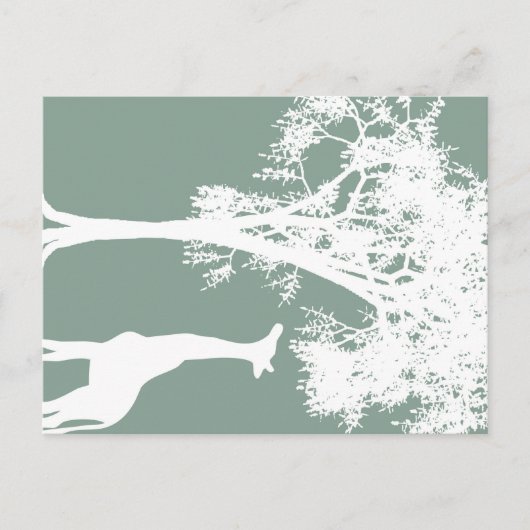 Carte Postale Giraffe (Devant)