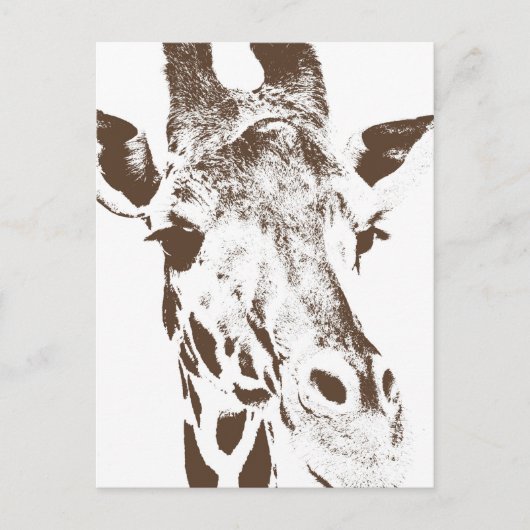 Carte Postale Giraffe (Devant)