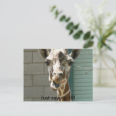 Carte postale Giraffe (Debout devant)