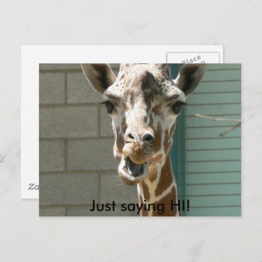 Carte postale Giraffe (Devant / Derrière)