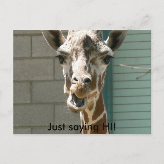 Carte postale Giraffe (Devant)