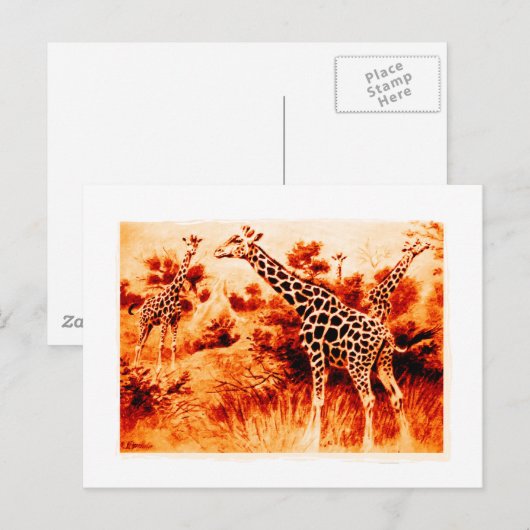 Carte Postale Giraffe (Devant / Derrière)