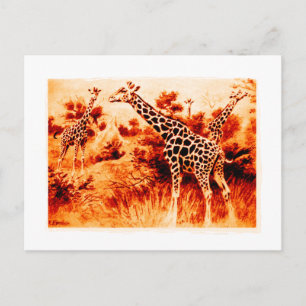 Carte Postale Giraffe