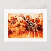 Carte Postale Giraffe (Devant)