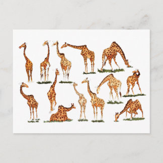 CARTE POSTALE "GIRAFFE"