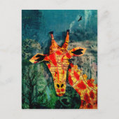 Carte postale Giraffe 2 (Devant)
