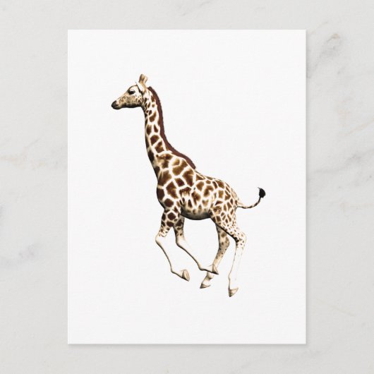 Carte Postale Giraffe 3 (Devant)