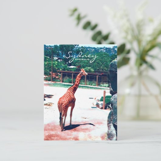 Carte Postale Giraffe animal Sydney Australie (Debout devant)