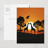 Carte Postale Giraffe au coucher du soleil (Devant / Derrière)