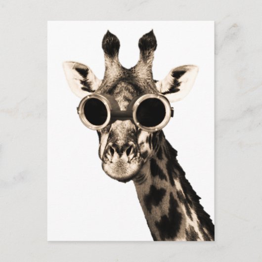 Carte Postale Giraffe Avec Lunettes De Soleil Steampunk Lunettes (Devant)