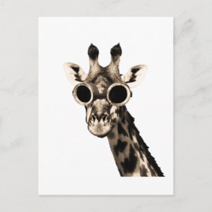 Carte Postale Giraffe Avec Lunettes De Soleil Steampunk Lunettes