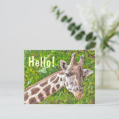 Carte Postale Giraffe Bonjour (Debout devant)