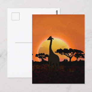 Carte Postale Giraffe couché de soleil du Serengeti Safari Wil