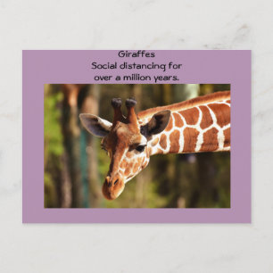 Carte Postale Giraffe Distancing Social Six Pieds par Funnycomb